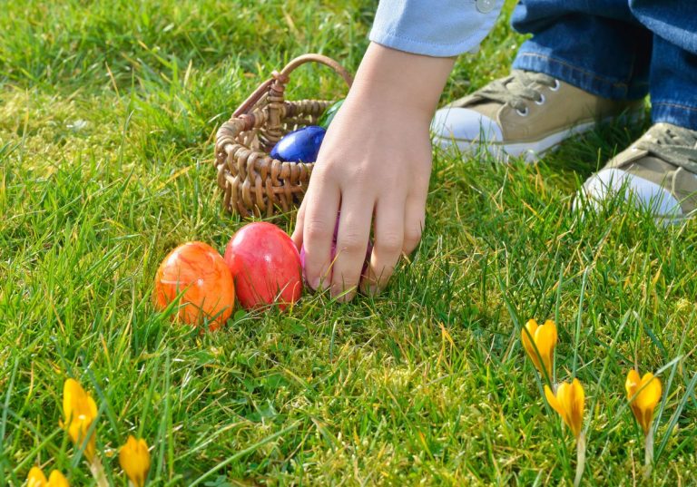 Chasse aux œufs le 06 Avril 2026